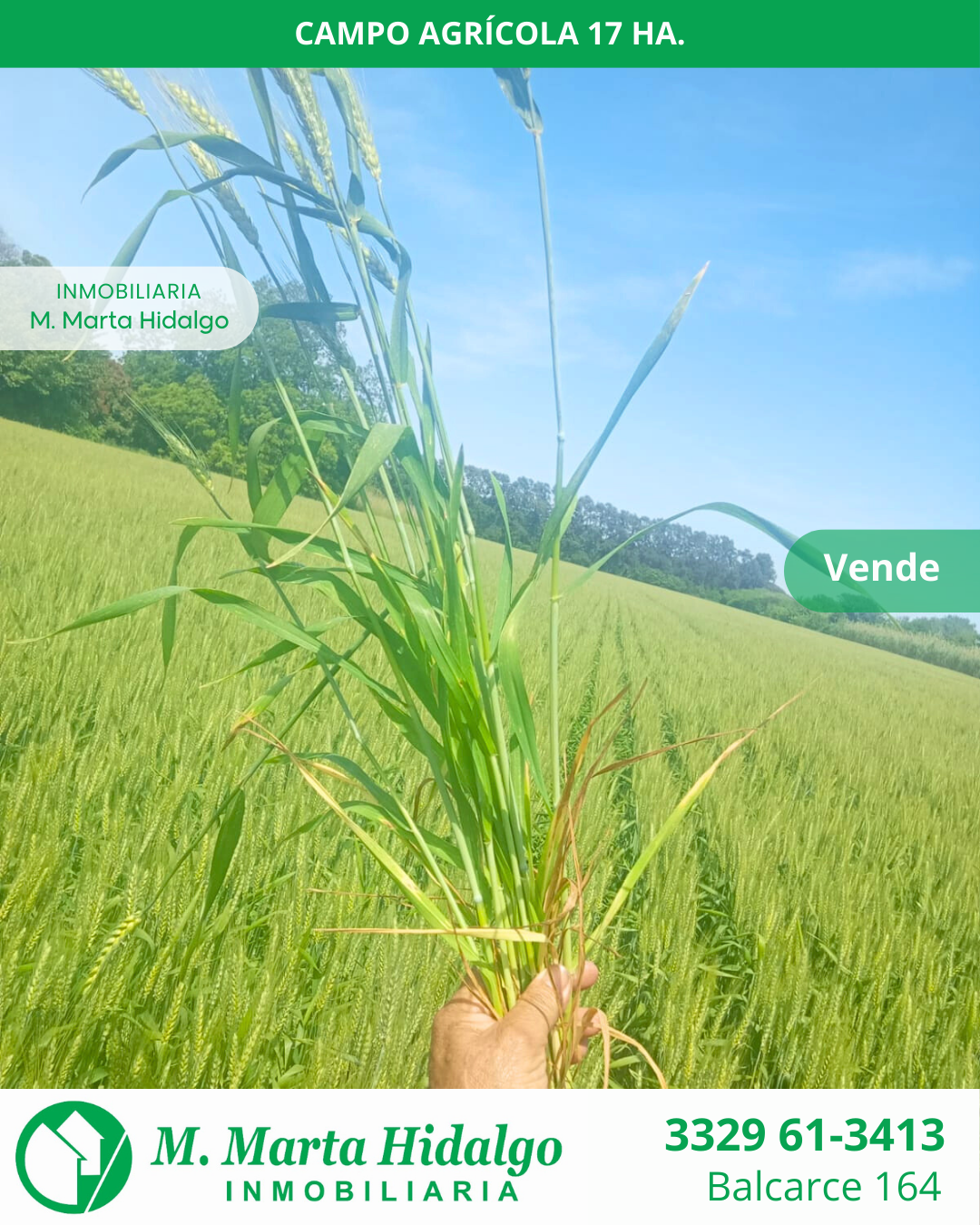 VENTA CAMPO AGRICOLA ACTIVO
